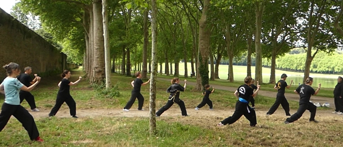 VO KINH VAN AN PHAI - Kung-Fu vietnamien - Versailles