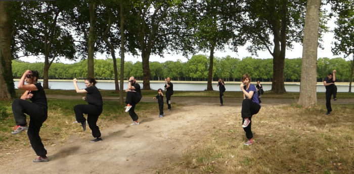 VO KINH VAN AN PHAI - Kung-Fu vietnamien - Versailles