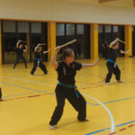 VO KINH VAN AN PHAI - Kung Fu vietnamien - Versailles
